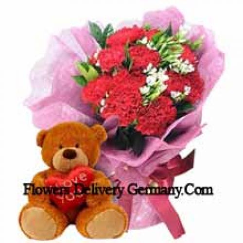 11 Carnations with Cute 12 Inch Teddy