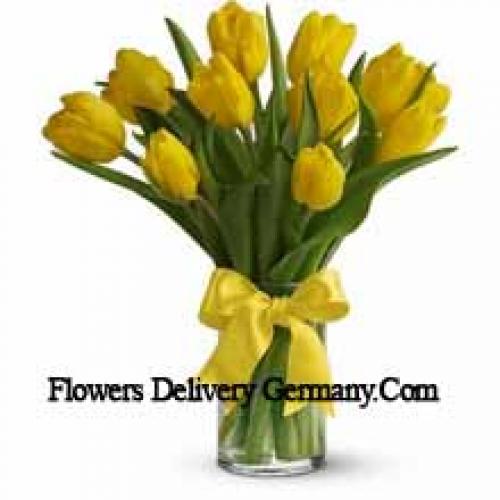 Beautiful Yellow Tulips