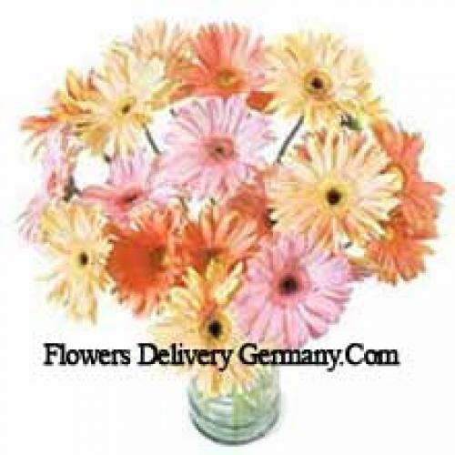 25 Fancy Assorted Gerberas