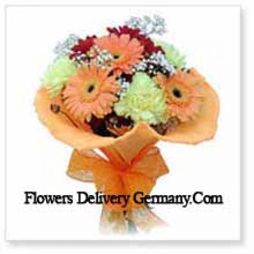 11 Assorted Cute Gerberas