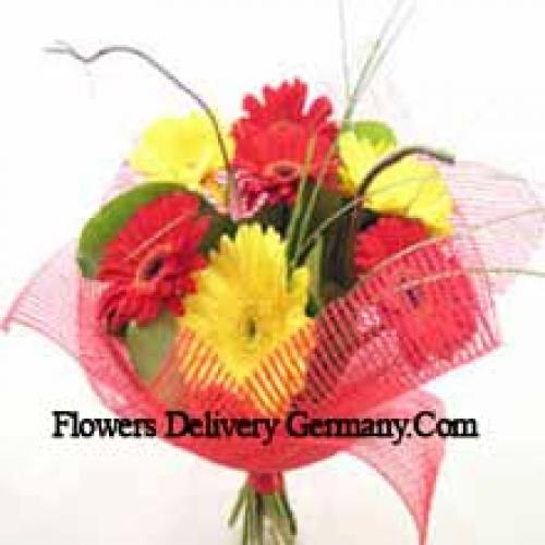 Cute Mixed Gerberas