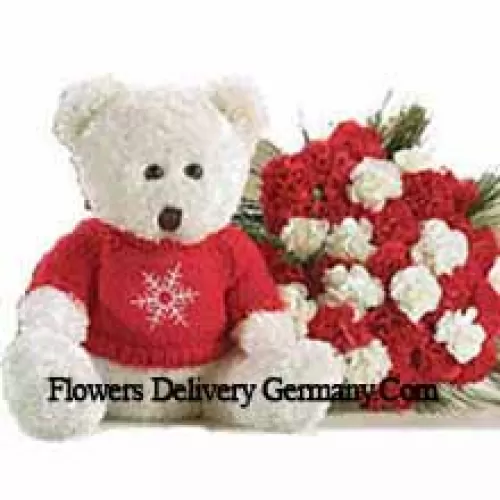 一束25朵红色和白色康乃馨，配上一个中等大小的可爱泰迪熊