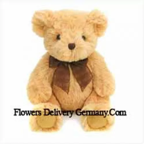 Niedlicher brauner 6 Zoll Teddybär